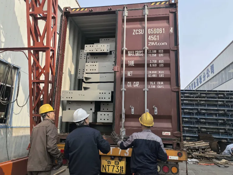 Plieninės konstrukcijos komponentai didelio masto plieno sandėlio projektui Čilėje sėkmingai išsiųsti, palaikant vietinio logistikos centro statybą